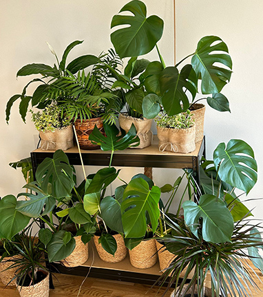 Mobilny/stacjonarny ogród wertykalny