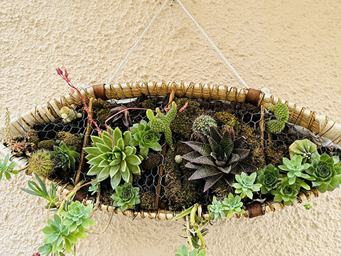 ogrodywertykalne_WhatNG