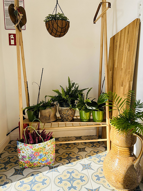 ogrodywertykalne_cele